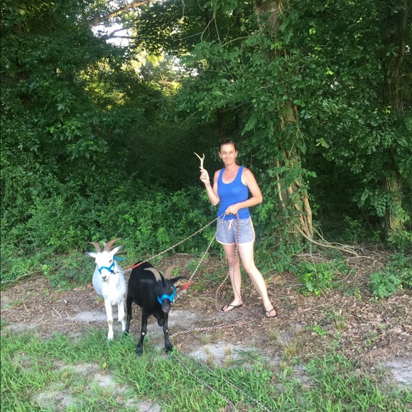 Hello! - Picture 6 of 8